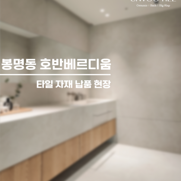 대전욕실리모델링 유성구 봉명동 호반베르디움 타일 납품 현장
