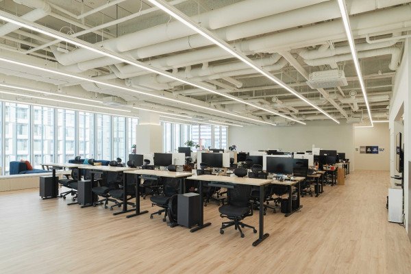 AI 스타트업 사무실 인테리어 라이너